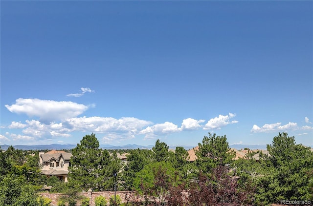 9591 Sunset Hill Dr, Lone Tree, CO 80124 - photo 22