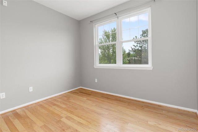 7130 Simms St Unit 206, Arvada, CO 80004 - spare room featuring baseboards and wood finished floors