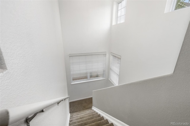 7130 Simms St Unit 206, Arvada, CO 80004 - stairs featuring carpet and baseboards
