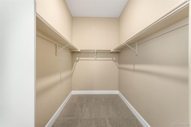 10122 Des Moines St, Parker, CO 80134 - spacious closet featuring carpet
