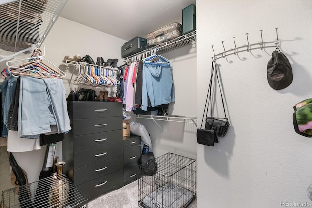 spacious closet with carpet flooring