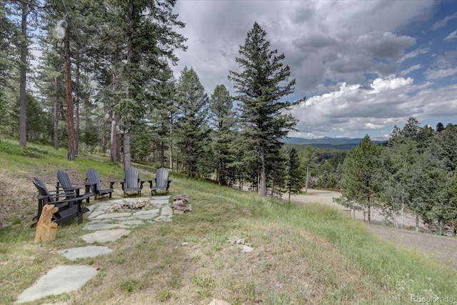 7390 Monica Ln, Evergreen, CO 80439 - photo 8