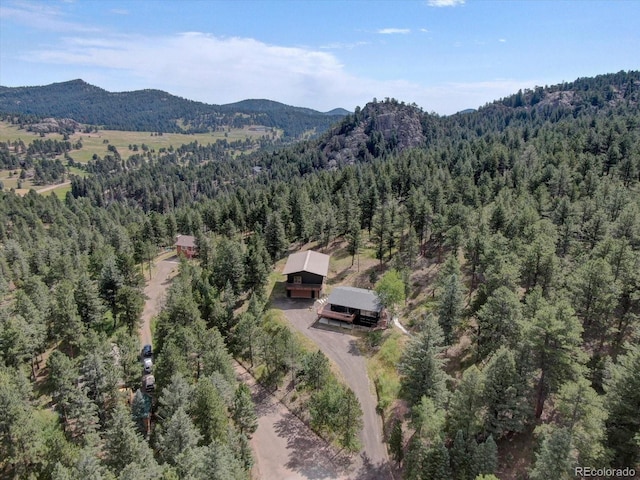 7390 Monica Ln, Evergreen, CO 80439 - photo 31