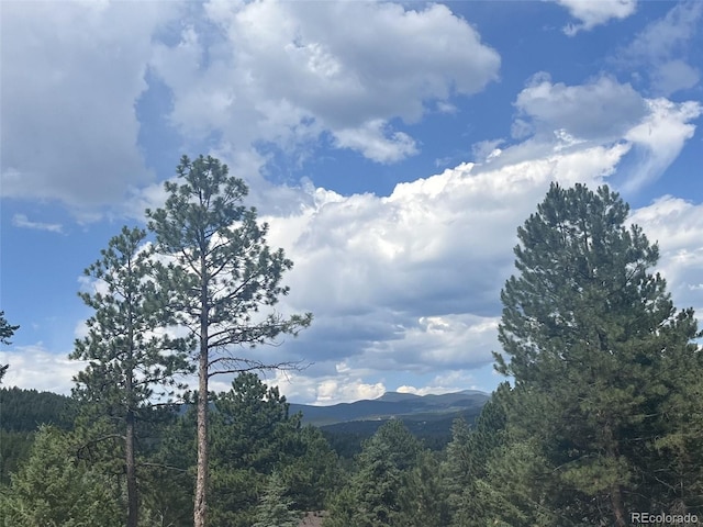 7390 Monica Ln, Evergreen, CO 80439 - photo 32
