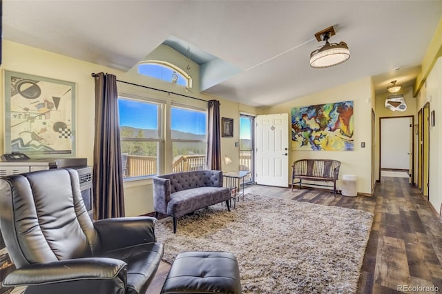 464 Hackamore Dr, Florissant, CO 80816 - living area with baseboards, a wealth of natural light, dark wood finished floors, and vaulted ceiling