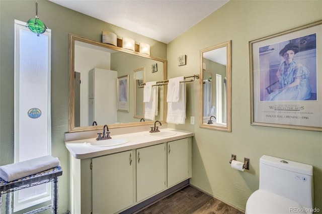 464 Hackamore Dr, Florissant, CO 80816 - bathroom featuring double vanity, toilet, wood finished floors, and a sink