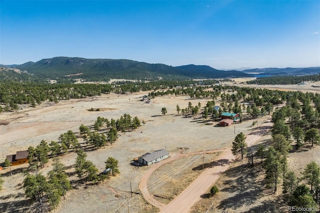 464 Hackamore Dr, Florissant, CO 80816 - aerial view with a rural view, a mountain view, and a desert view