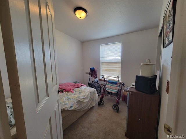 71777 E County Road 10, Byers, CO 80103 - bedroom featuring carpet