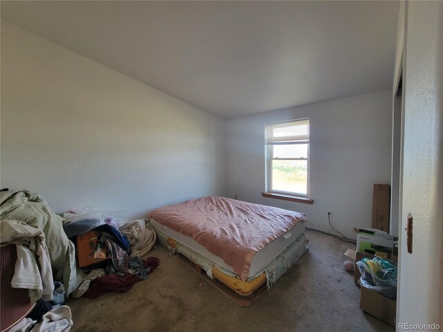 71777 E County Road 10, Byers, CO 80103 - carpeted bedroom with lofted ceiling