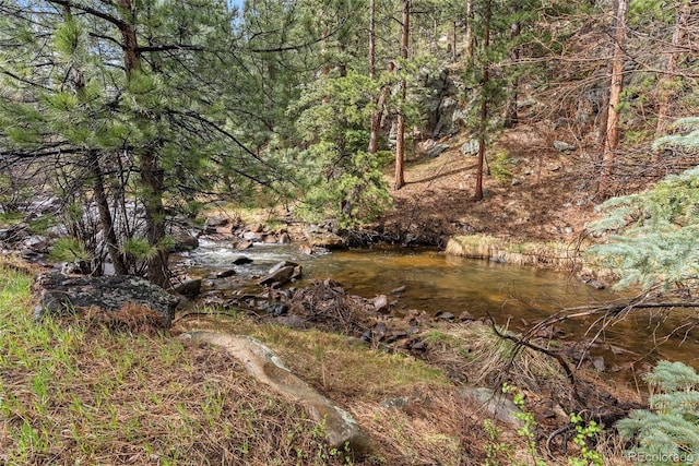 view of local wilderness