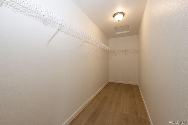 spacious closet featuring hardwood / wood-style floors