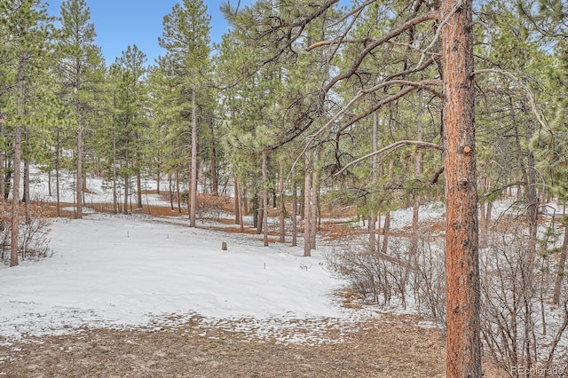 view of yard layered in snow