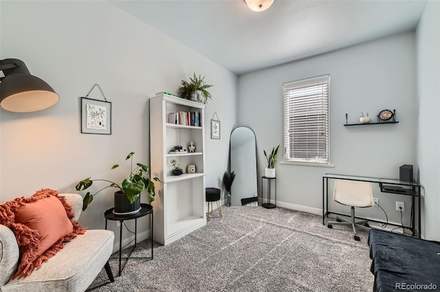 office space featuring carpet floors and baseboards