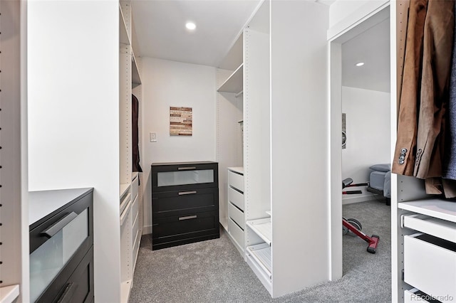 11041 Newland St, Westminster, CO 80020 - walk in closet with light colored carpet
