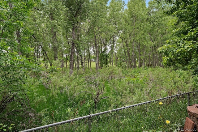 116 Monarch St, Louisville, CO 80027 - view of yard featuring a forest view