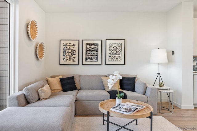 living room featuring baseboards and light wood-style floors