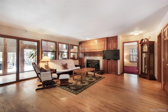 living room featuring light wood-type flooring and a tiled fireplace
