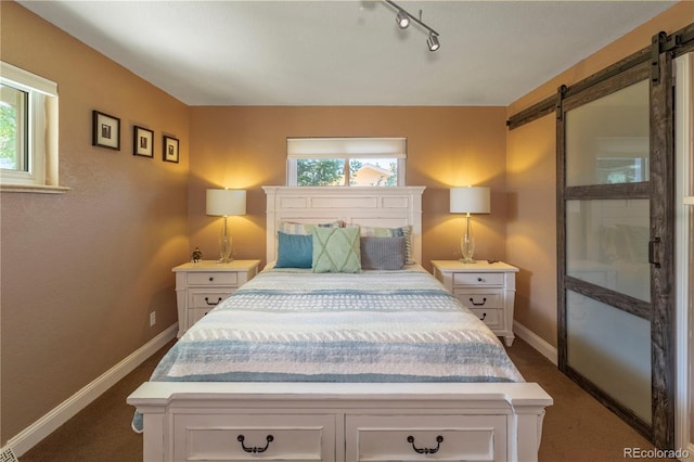 6760 S Depew St, Littleton, CO 80128 - bedroom featuring a barn door, multiple windows, dark carpet, and track lighting