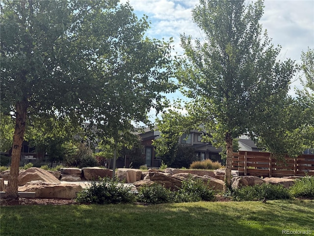 9436 E 57h Ave, Denver, CO 80238 - view of green lawn