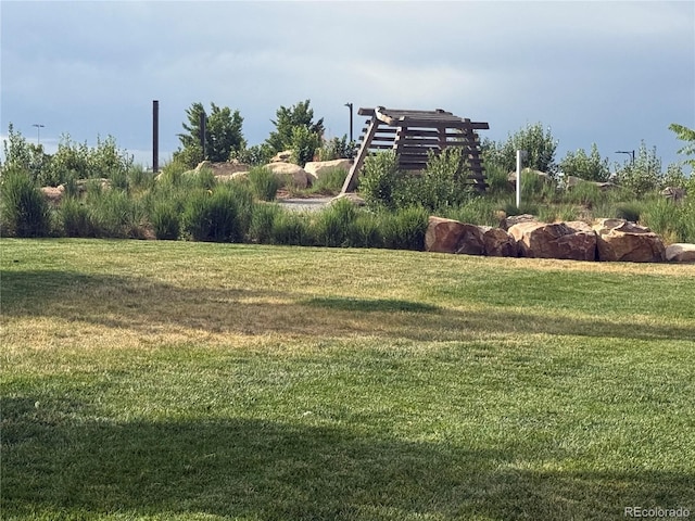 9436 E 57h Ave, Denver, CO 80238 - view of grassy yard