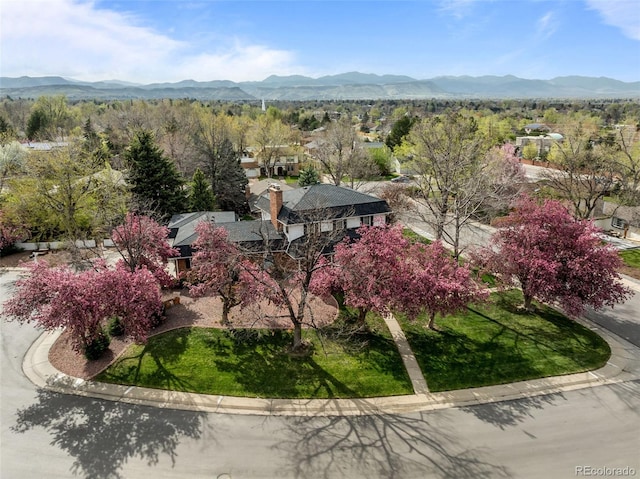 3127 Nelson Ct, Lakewood, CO 80215 - photo 1