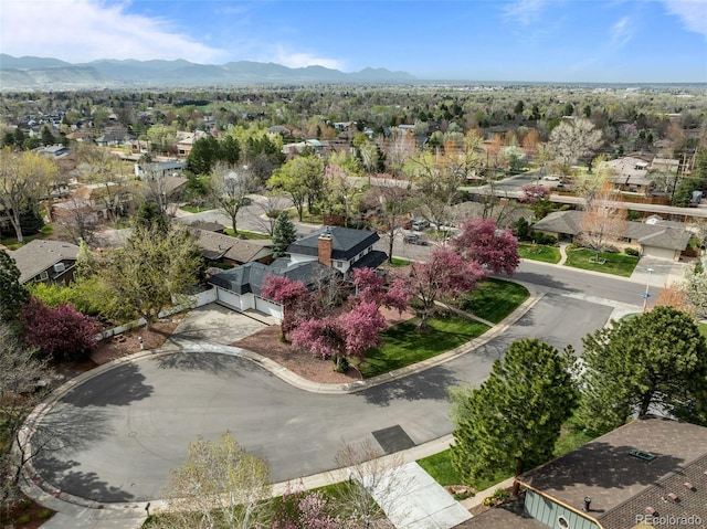3127 Nelson Ct, Lakewood, CO 80215 - photo 42