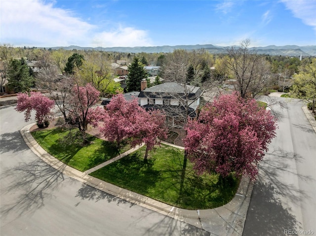3127 Nelson Ct, Lakewood, CO 80215 - photo 43