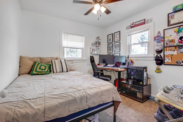 3000 S Sherman St, Englewood, CO 80113 - carpeted bedroom with multiple windows and ceiling fan
