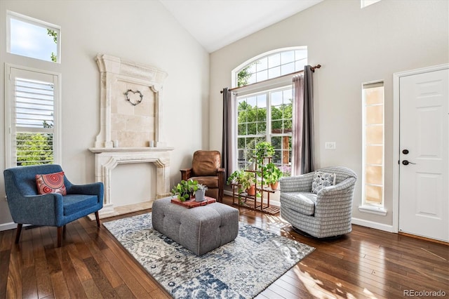 living area featuring dark wood-style flooring and high vaulted ceiling