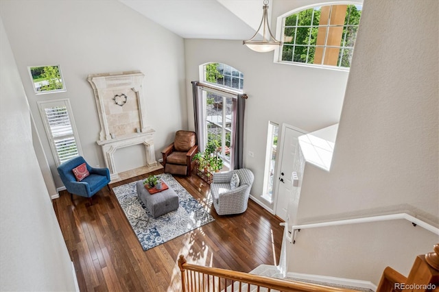 foyer with hardwood / wood-style floors, plenty of natural light, baseboards, and high vaulted ceiling