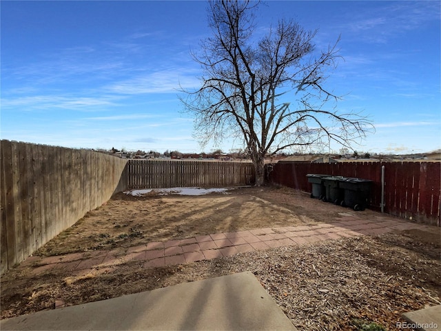 view of yard featuring a patio