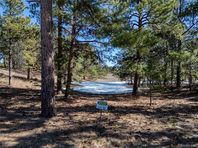 Listing photo 2 for 18845 Hilltop Pines Path, Monument CO 80132