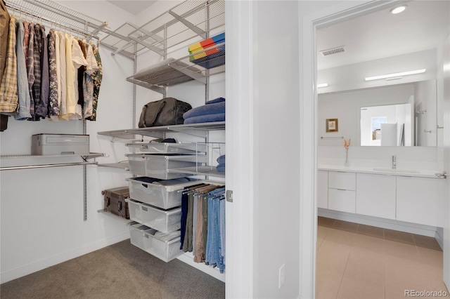 1300 N Ogden St Unit 304, Denver, CO 80218 - walk in closet with a sink