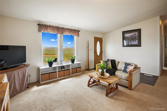 463 Snowshoe Ln, Lake George, CO 80827 - living area featuring carpet and lofted ceiling