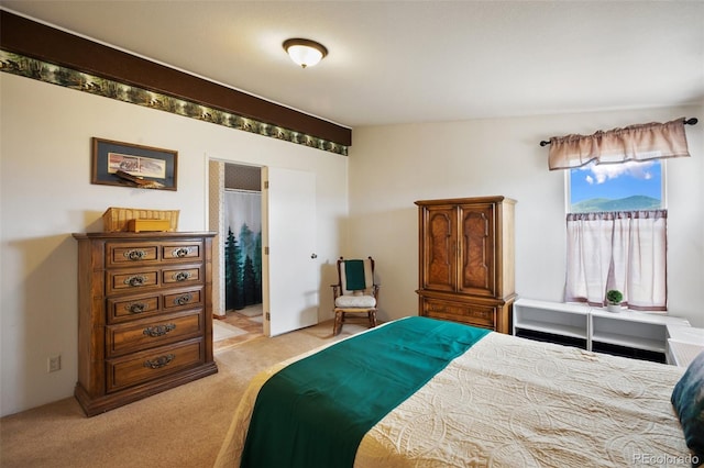 463 Snowshoe Ln, Lake George, CO 80827 - bedroom featuring light colored carpet