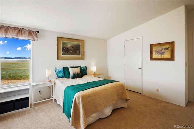 463 Snowshoe Ln, Lake George, CO 80827 - bedroom with light colored carpet and vaulted ceiling