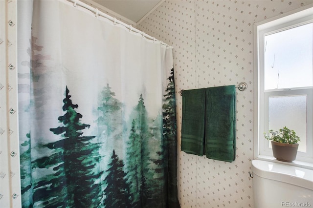 463 Snowshoe Ln, Lake George, CO 80827 - bathroom with wallpapered walls, toilet, and healthy amount of natural light
