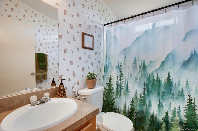 463 Snowshoe Ln, Lake George, CO 80827 - bathroom with wallpapered walls, vanity, toilet, and a shower with curtain