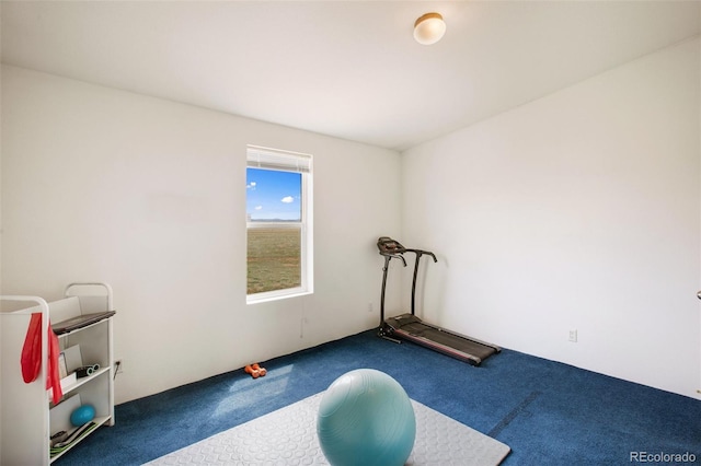 463 Snowshoe Ln, Lake George, CO 80827 - workout room with carpet flooring