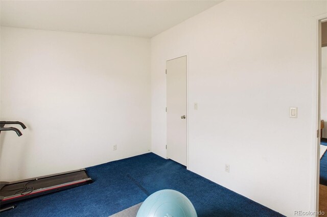 463 Snowshoe Ln, Lake George, CO 80827 - view of carpeted empty room