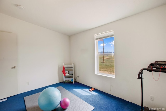 463 Snowshoe Ln, Lake George, CO 80827 - exercise area with carpet flooring