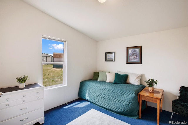 463 Snowshoe Ln, Lake George, CO 80827 - carpeted bedroom with vaulted ceiling