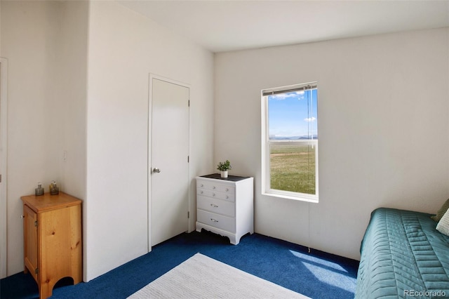 463 Snowshoe Ln, Lake George, CO 80827 - bedroom with multiple windows and dark carpet