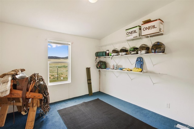 463 Snowshoe Ln, Lake George, CO 80827 - view of storage room