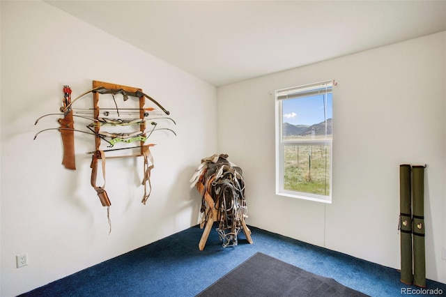 463 Snowshoe Ln, Lake George, CO 80827 - misc room featuring carpet flooring