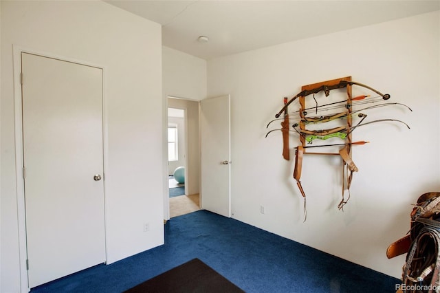 463 Snowshoe Ln, Lake George, CO 80827 - unfurnished bedroom with carpet flooring