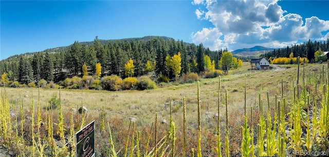 356 Church Creek Dr, South Fork CO, 81154 land for sale