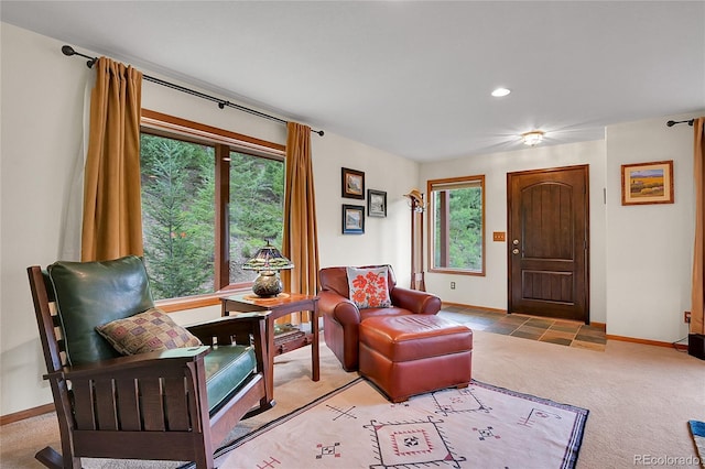 191 Blue Spruce Dr, Evergreen, CO 80439 - photo 11