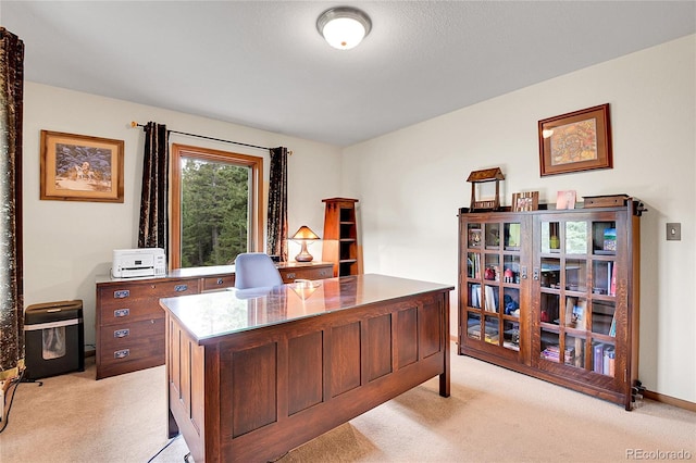 191 Blue Spruce Dr, Evergreen, CO 80439 - photo 26