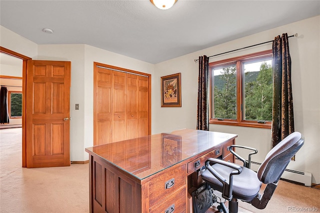 191 Blue Spruce Dr, Evergreen, CO 80439 - photo 27